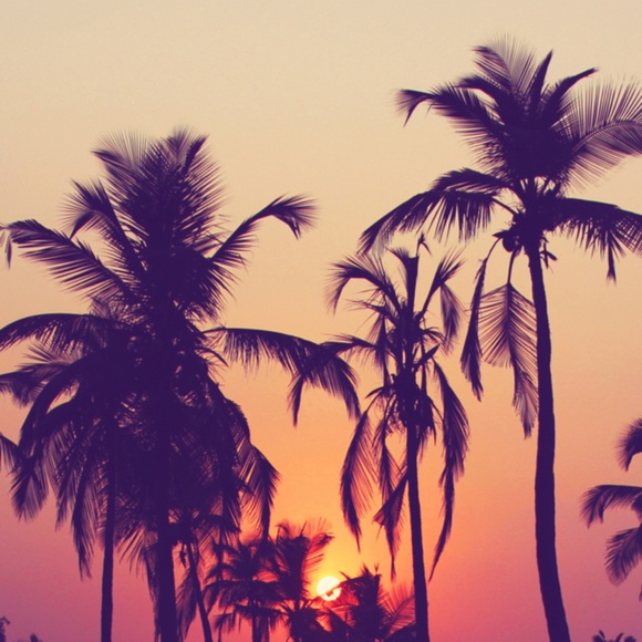 Meet your Posher, Sinthia - Picture 1 of 1